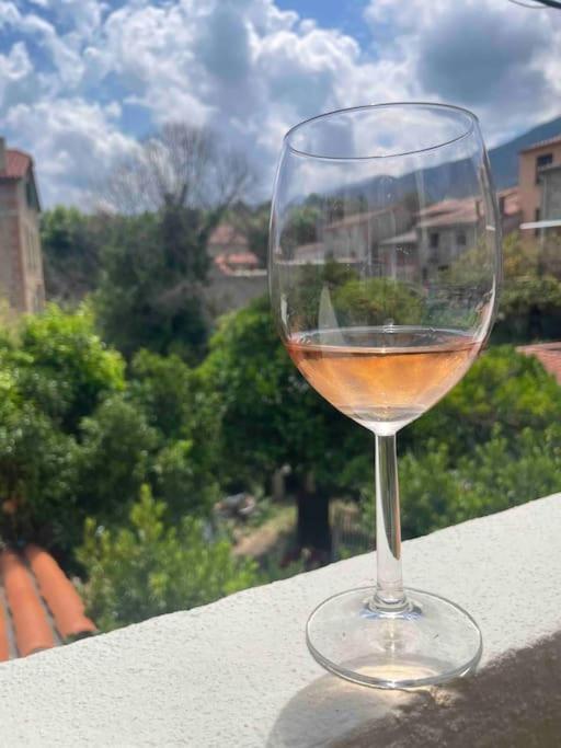 Appartement Neuf, Grande Terrasse Plein Sud Laroque-des-Albères Buitenkant foto